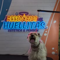Galería Accesorios Huellitas 1