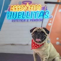 Galería Accesorios Huellitas 3