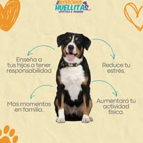 Galería Accesorios Huellitas 7