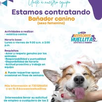 Galería Accesorios Huellitas 8